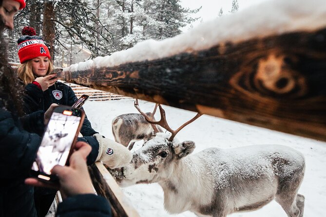 1 Day Pass Lapland Winter Park in Rovaniemi - Fires, huts, and the Kota Restaurant