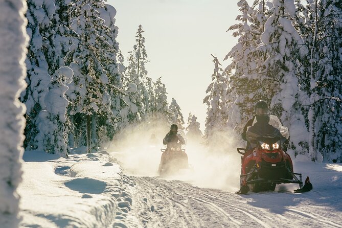1 Hour Easy Snowmobile Safari in Levi - Sharing a snowmobile or choosing the sleigh