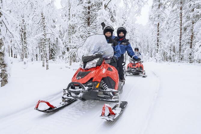 1 Hour Easy Snowmobile Safari in Levi - Is $118.95 a fair price for one hour?
