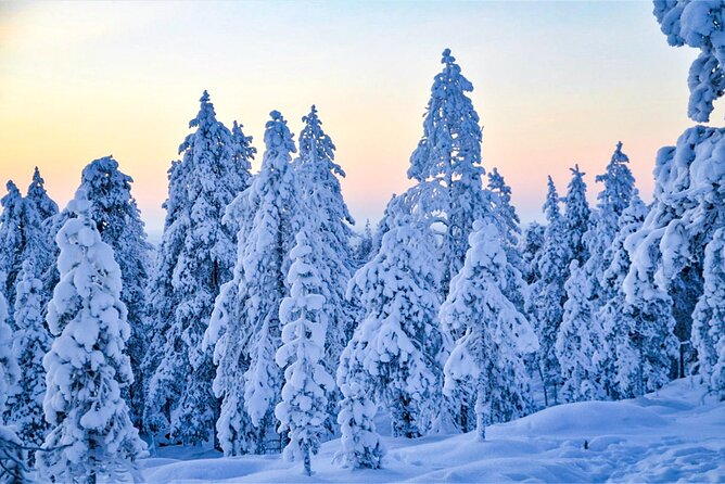 1-Hour Snowmobile Safari Adventure in Rovaniemi - Who should book this snowmobile safari?
