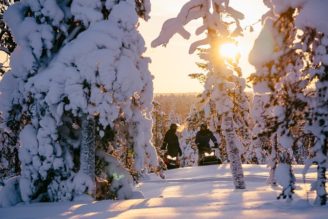 1-Hour Snowmobile Safari Experience - Starting at Santa Claus Village