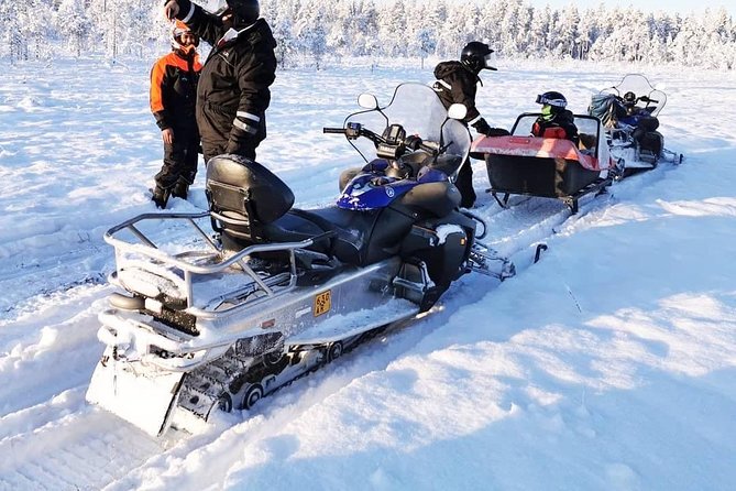 1-Hour Snowmobile Safari Experience - One hour through the snowy forest