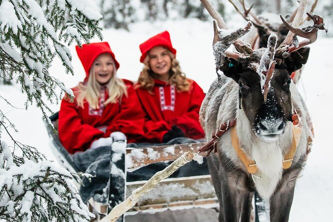 2km Sleigh Ride & Feeding Experience at Traditional Reindeer Farm - Key points at a glance