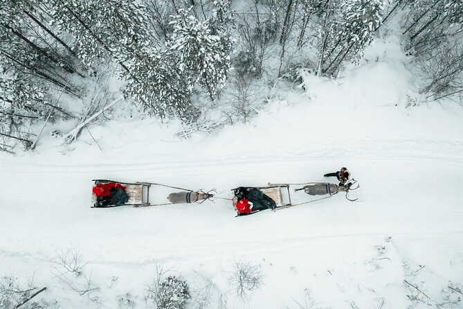 2km Sleigh Ride & Feeding Experience at Traditional Reindeer Farm - Leaving Rovaniemi for the reindeer farm