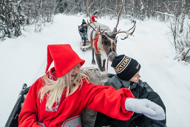 2km Sleigh Ride & Feeding Experience at Traditional Reindeer Farm - Who will enjoy this experience most?