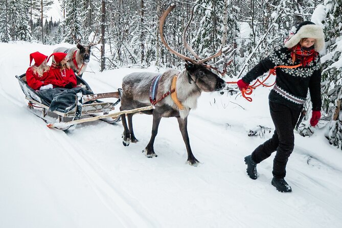 2km Sleigh Ride & Feeding Experience at Traditional Reindeer Farm - What to wear and what to bring