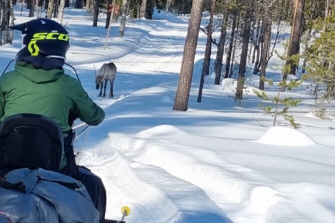3 Days Raid Snowmobile in Finnish Lapland - Timing, weather, and cancellation rules