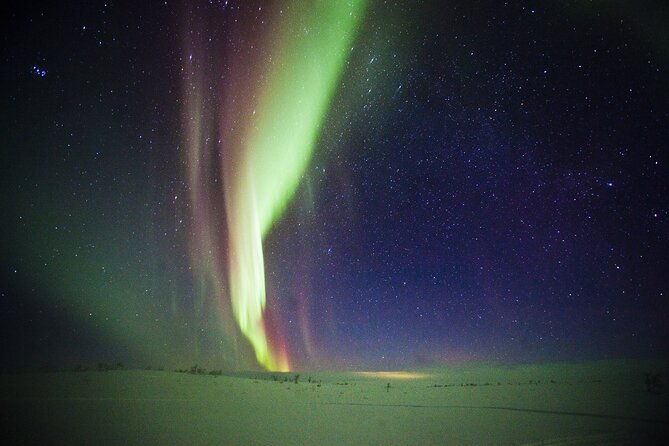 3-h Northern Light Safari by Snowmobiles From Levi - Searching for the Northern Lights in a dark forest