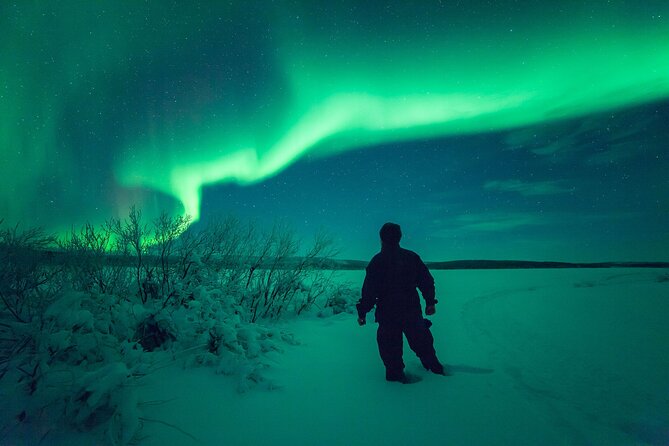 3-h Northern Light Safari by Snowmobiles From Levi - What the $222.29 price really covers