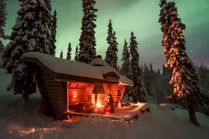 3-h Northern Light Safari by Snowmobiles From Levi - Who will enjoy this Levi safari most