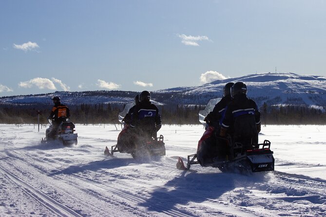 3 Hour Snowmobile Safari Around Levi with Coffee Break - Forest Trails, Open Swamps, and Levi Fell