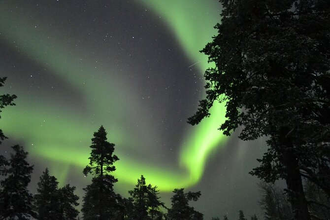 3-Hour Snowmobile Safari to Search Northern Lights in Levi - Searching for the northern lights without a false promise