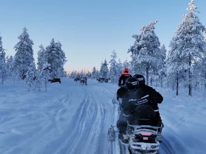 3-hour snowmobiling adventure in Levi - Key points before you book