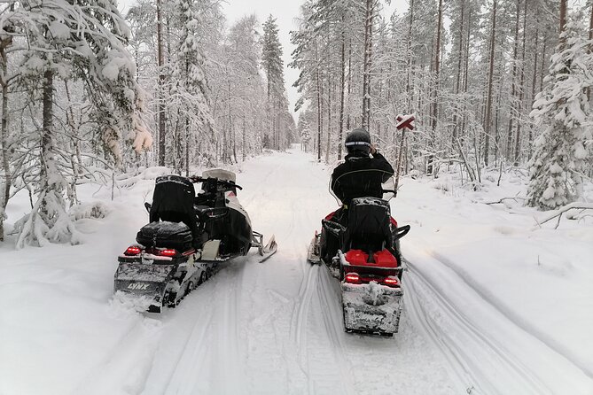 3H Private Snowmobile Experience in Rovaniemi's Forest - Who will get the most from this outing?