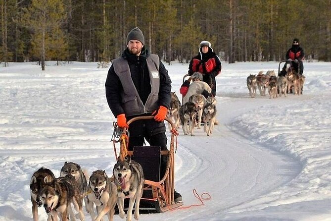 5KM Husky Sled Ride from Levi - Staying warm in the Lapland cold