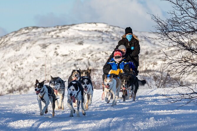 5KM Husky Sled Ride from Levi - Is $234.98 a fair price?