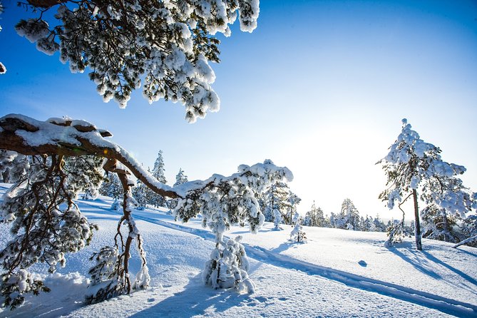 All Day Snowmobile Driving - A quiet break for Finnish food and ice fishing
