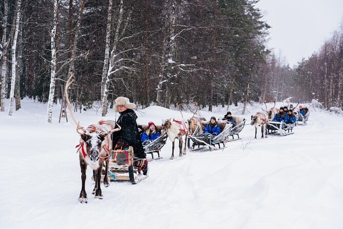 Apukka Reindeer Journey - Leaving Rovaniemi for the reindeer farm