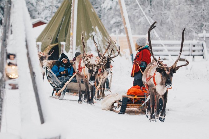 Apukka Reindeer Journey - Warming up in the kota