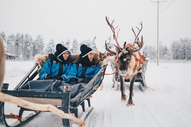 Apukka Reindeer Journey - What $215.54 buys you