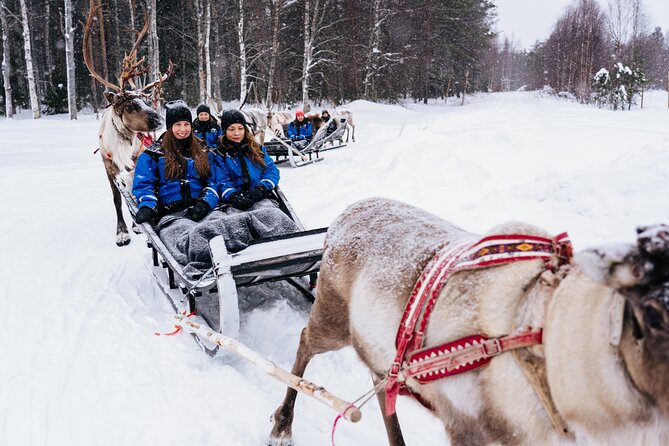 Apukka Reindeer Journey - Who will enjoy this journey most