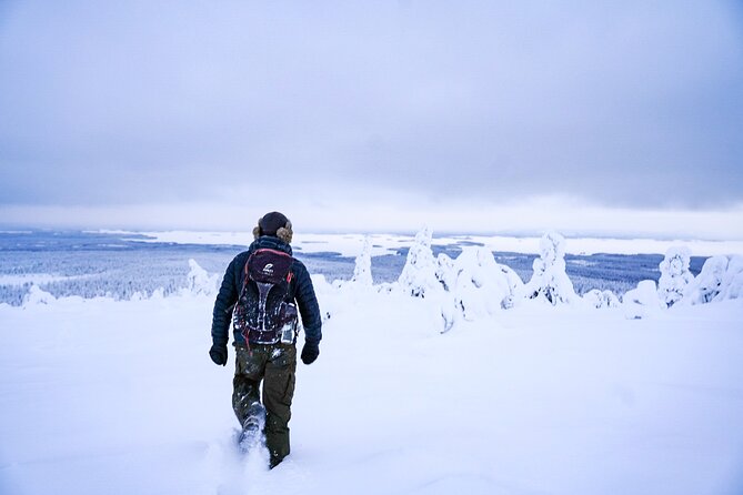 Arctic Adventure through Magical Frozen Forests of Riisitunturi - The morning departure from Rovaniemi