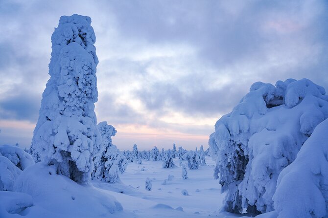 Arctic Adventure through Magical Frozen Forests of Riisitunturi - A Finnish campfire break in the forest