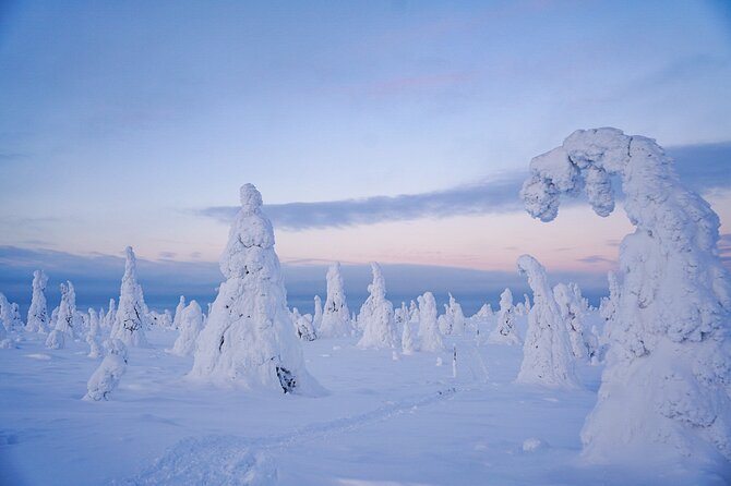 Arctic Adventure through Magical Frozen Forests of Riisitunturi - Timing, group size, and physical effort