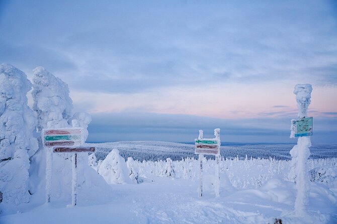 Arctic Adventure through Magical Frozen Forests of Riisitunturi - Weather, cancellations, and the best mindset