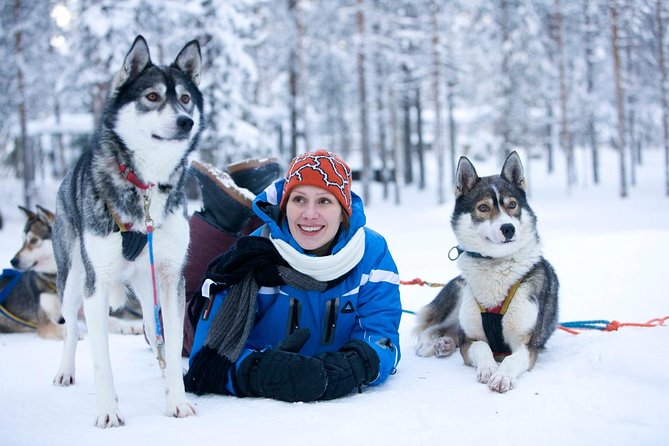 Arctic Circle Family Day - The long road to the husky farm