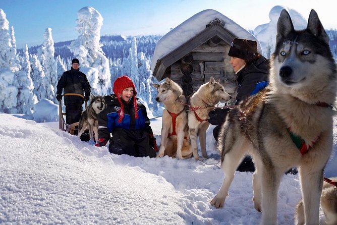 Arctic Circle Family Day - Is $460.49 per person good value?