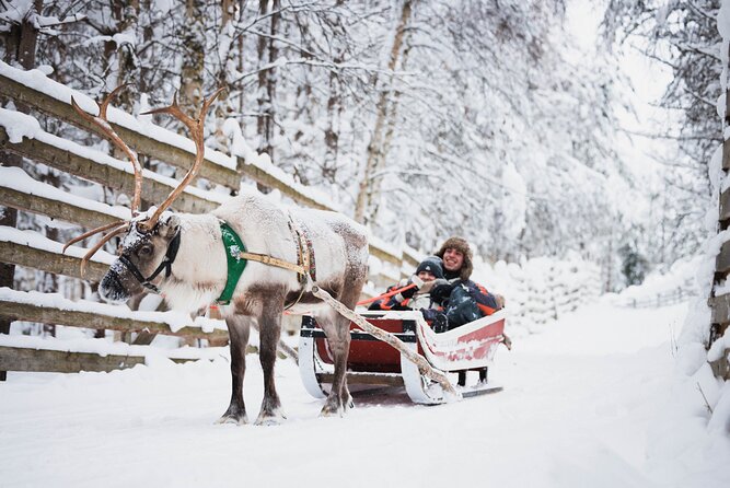 Arctic Circle Highlights Family Day - Key points to know before booking