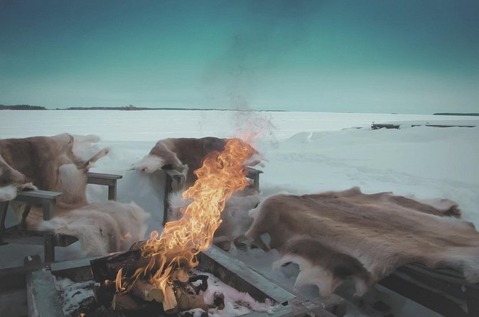 Arctic Darkness & Starlight Adventure with Snowshoes - The Northern Lights are possible, not promised