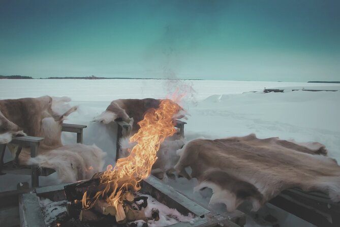 Arctic Darkness & Starlight Adventure with Snowshoes - Value at $107.63 per person