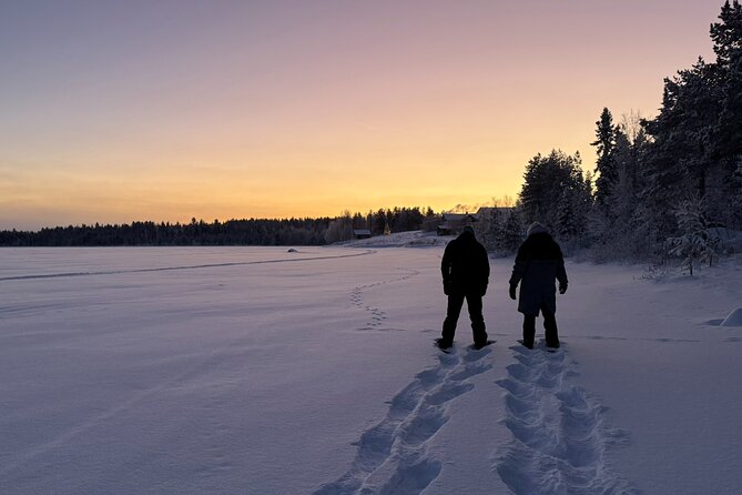 Arctic Reindeer Farm Experience with Snowshoeing in the Wild - Meeting reindeer in a quiet paddock