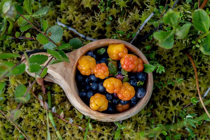 Arctic Wilderness Hike with Fire-making - Why This Rovaniemi Hike Is Different