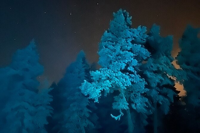 Aurora Borealis Dinner in a Glass Igloo - A Lapland dinner with the sky as your ceiling