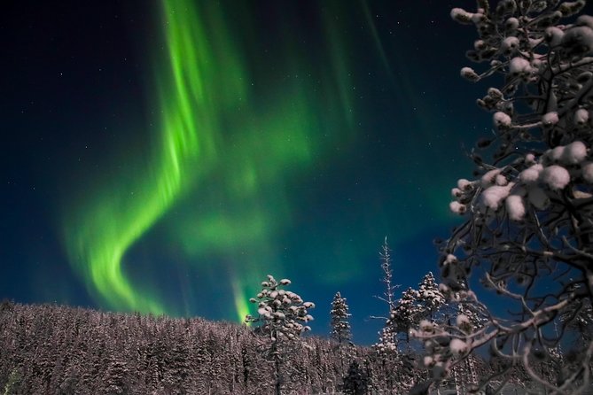 Aurora Borealis Picnic in Rovaniemi - Settling beside the fire for the Lappish picnic
