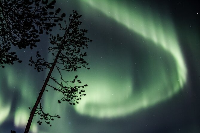 Aurora Borealis Picnic in Rovaniemi - What families and first-time visitors should expect