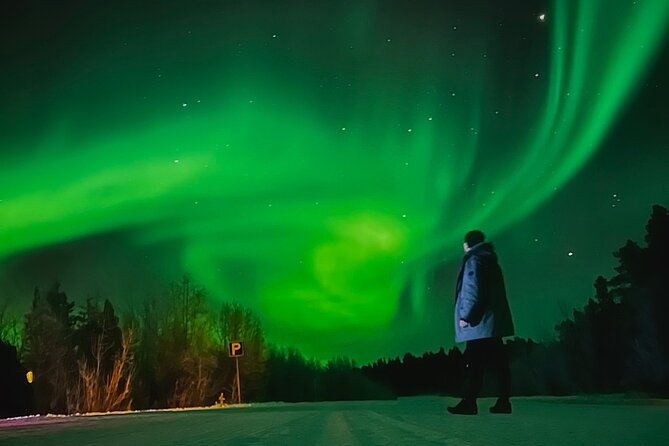Aurora Hunt with BBQ in Rovaniemi - Key points before you book