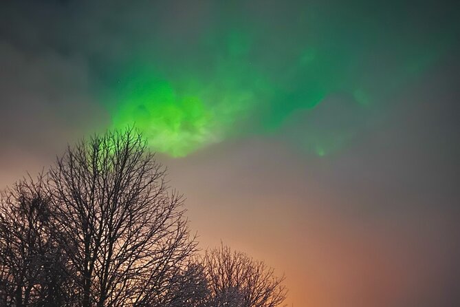 Aurora Hunt with BBQ in Rovaniemi - Firelight, sausages, and Lappish food