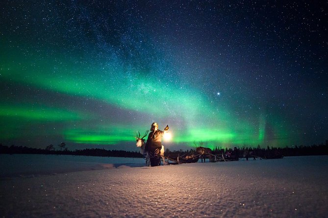 Aurora Hunting by Reindeer Sleigh - Key points to know before booking