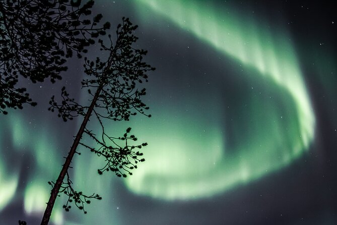 Aurora Hunting Photo Tour from Rovaniemi with Pickup - Chasing the Northern Lights across Lapland