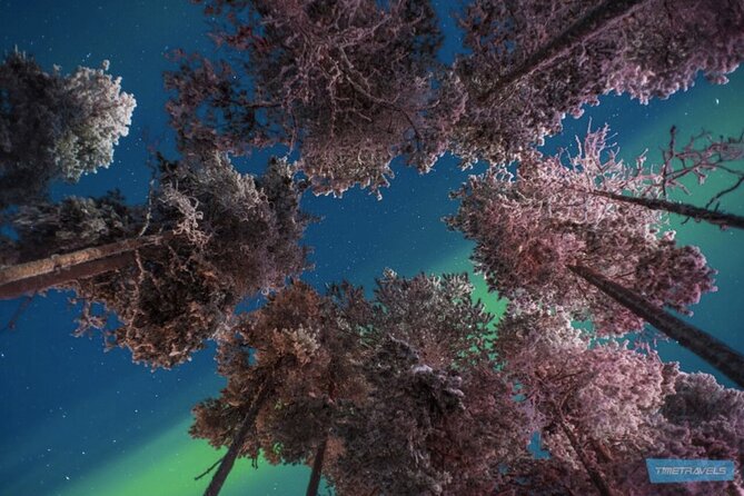 Aurora Photography Tour 3 HOURS - Hot berry juice, cookies, and winter comfort