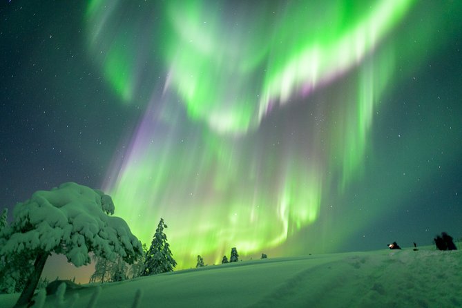 Auroras in Saariselkä – Northern Lights Photo Tour by Car and on Foot - What the car search adds to the evening