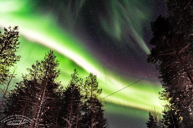 Auroras - Northern Lights Tours by Aurora Experts - Rovaniemi - Key points to know before booking