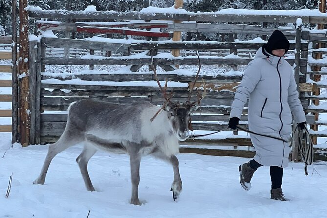 Authentic Reindeer Experience and Ice Fish with Lunch in the Wild - Fish soup and a wood fire at Soma Hideout