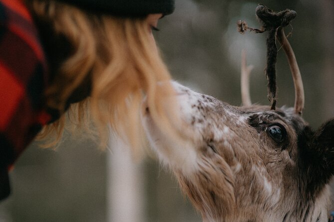 Authentic Reindeer Experience and Ice Fish with Lunch in the Wild - Group size, clothing, and comfort