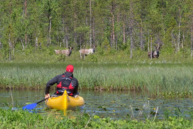 Authentic Reindeer Farm and Canoe Experience from Rovaniemi - Why this pairing works so well in Rovaniemi