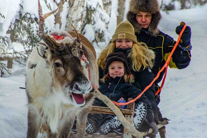 Authentic Reindeer Farm Experience in Rovaniemi - Learning how Lapland herders work